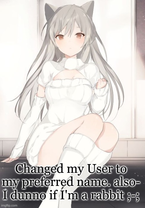 neko anime girl | Changed my User to my preferred name. also- I dunno if I'm a rabbit ;-; | image tagged in neko anime girl | made w/ Imgflip meme maker