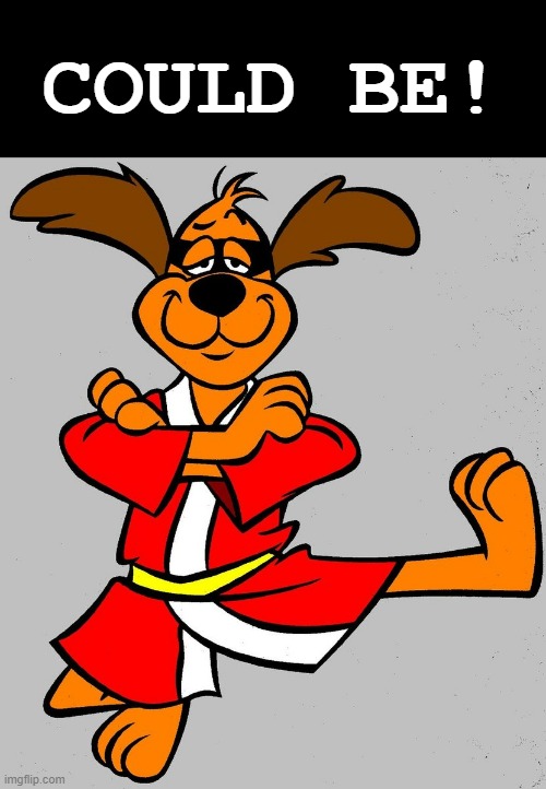 Could be! | COULD BE! | image tagged in hong kong phooey | made w/ Imgflip meme maker