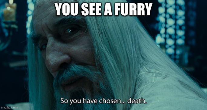 So yo have chosen death | YOU SEE A FURRY | image tagged in so yo have chosen death | made w/ Imgflip meme maker