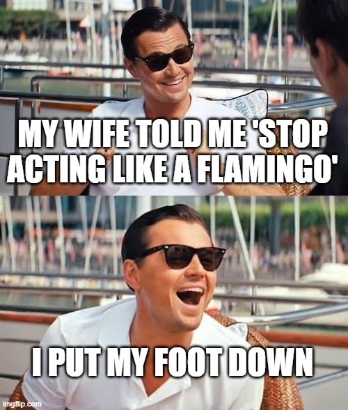 Leonardo Dicaprio Wolf Of Wall Street Meme | MY WIFE TOLD ME 'STOP ACTING LIKE A FLAMINGO' I PUT MY FOOT DOWN | image tagged in memes,leonardo dicaprio wolf of wall street | made w/ Imgflip meme maker