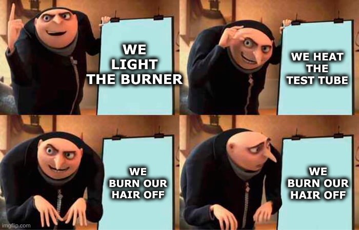 Gru's Plan | WE LIGHT THE BURNER; WE HEAT THE TEST TUBE; WE BURN OUR HAIR OFF; WE BURN OUR HAIR OFF | image tagged in memes,gru's plan | made w/ Imgflip meme maker