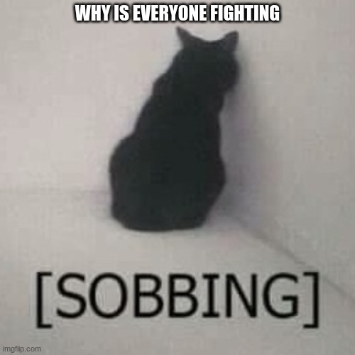 [sobbing] | WHY IS EVERYONE FIGHTING | image tagged in sobbing | made w/ Imgflip meme maker