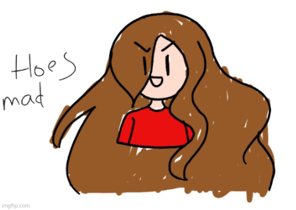 image tagged in hoes mad | made w/ Imgflip meme maker