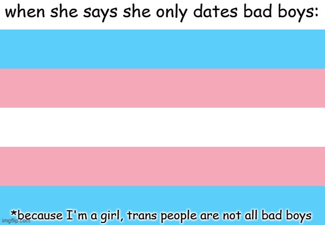 its trans time | when she says she only dates bad boys:; *because I'm a girl, trans people are not all bad boys | image tagged in trans flag,lgbtq,bad boys,pride | made w/ Imgflip meme maker