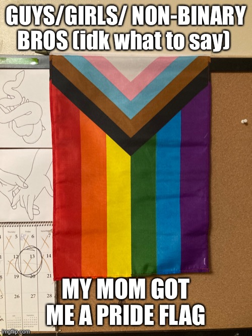 She knows that I’m a lesbian but she doesn’t know that I prefer she/her or they/them for my family | GUYS/GIRLS/ NON-BINARY BROS (idk what to say); MY MOM GOT ME A PRIDE FLAG | made w/ Imgflip meme maker