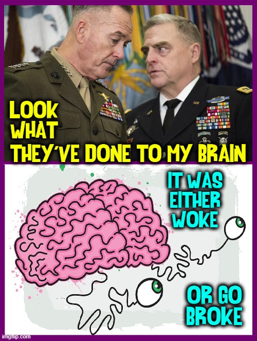 Milley's lack of integrity grew from cowardice; no way he's that woke | LOOK WHAT; THEY'VE DONE TO MY BRAIN; IT WAS
EITHER
WOKE; OR GO
BROKE | image tagged in vince vance,generals,conferring,memes,woke,brain | made w/ Imgflip meme maker