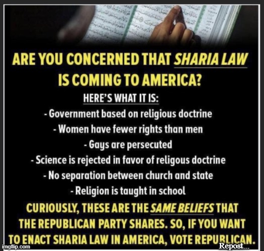 He's right you know... | Repost... | image tagged in sharia in america | made w/ Imgflip meme maker