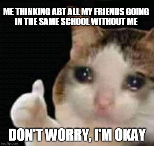 Without me | ME THINKING ABT ALL MY FRIENDS GOING
 IN THE SAME SCHOOL WITHOUT ME; DON'T WORRY, I'M OKAY | image tagged in sad thumbs up cat | made w/ Imgflip meme maker