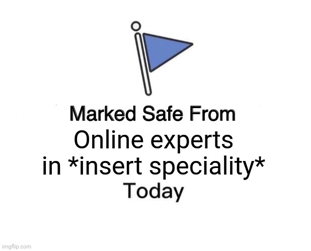 Experts | Online experts in *insert speciality* | image tagged in memes,marked safe from | made w/ Imgflip meme maker