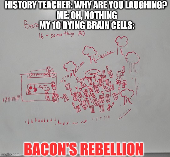 Bacons rebellion | HISTORY TEACHER: WHY ARE YOU LAUGHING? 
ME: OH, NOTHING
MY 10 DYING BRAIN CELLS:; BACON'S REBELLION | image tagged in history | made w/ Imgflip meme maker