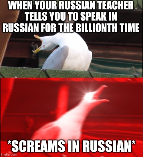 reeee | WHEN YOUR RUSSIAN TEACHER TELLS YOU TO SPEAK IN RUSSIAN FOR THE BILLIONTH TIME; *SCREAMS IN RUSSIAN* | image tagged in screaming bird | made w/ Imgflip meme maker