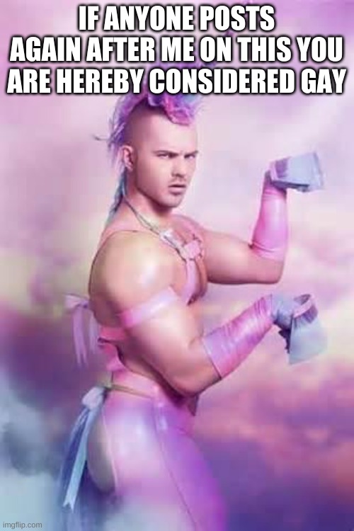 Gay Unicorn | IF ANYONE POSTS AGAIN AFTER ME ON THIS YOU ARE HEREBY CONSIDERED GAY | image tagged in gay unicorn | made w/ Imgflip meme maker