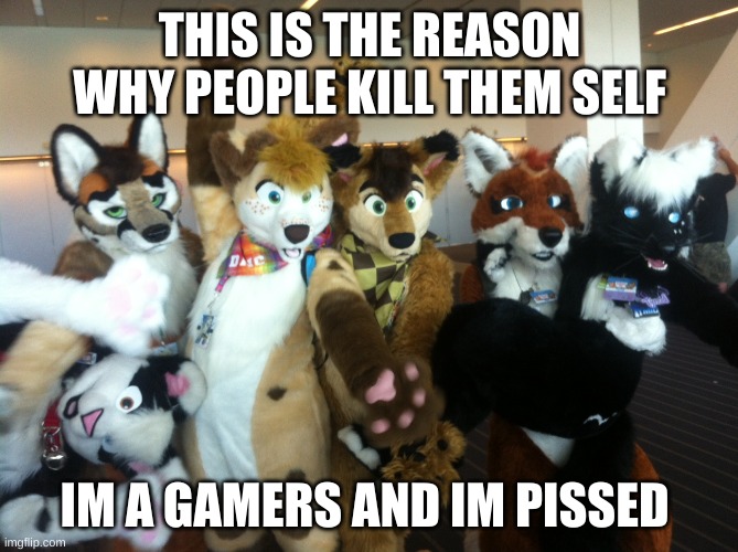 furry vs gamers | THIS IS THE REASON WHY PEOPLE KILL THEM SELF; IM A GAMERS AND IM PISSED | image tagged in furries | made w/ Imgflip meme maker