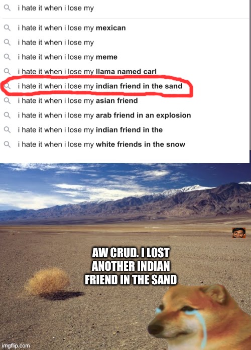 AW CRUD. I LOST ANOTHER INDIAN FRIEND IN THE SAND | image tagged in tumbleweed,cheems,indian,desert,i hate it when,like wow scoob people are reading these tags | made w/ Imgflip meme maker
