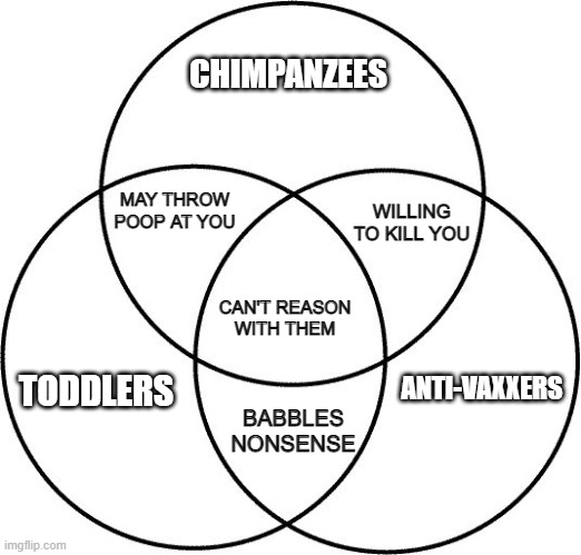 Venn diagram | CHIMPANZEES; MAY THROW POOP AT YOU; WILLING TO KILL YOU; CAN'T REASON WITH THEM; TODDLERS; ANTI-VAXXERS; BABBLES NONSENSE | image tagged in venn diagram | made w/ Imgflip meme maker