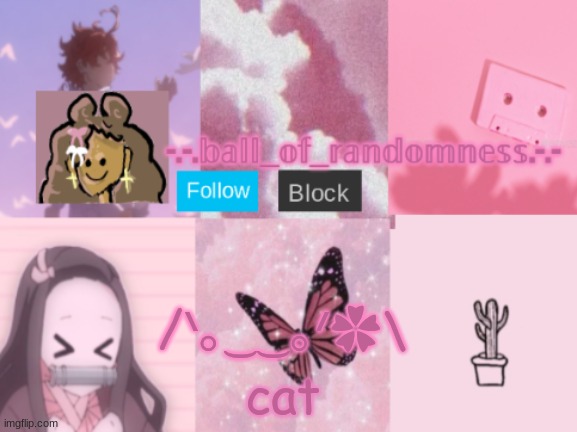 cat | /ᐠ｡‿‿｡ᐟ✿\; cat | image tagged in random pink announcement temp | made w/ Imgflip meme maker
