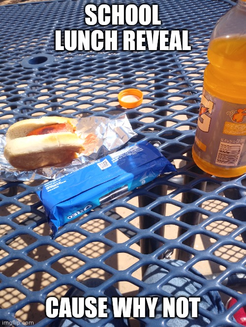 SCHOOL LUNCH REVEAL; CAUSE WHY NOT | made w/ Imgflip meme maker
