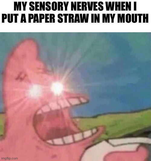 Paper straws are pain. | MY SENSORY NERVES WHEN I PUT A PAPER STRAW IN MY MOUTH | image tagged in patrick screamin,paper straw,natur,green,paper straws are pain,like wow scoob people are reading these tags | made w/ Imgflip meme maker