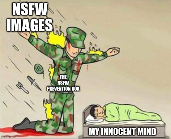 I’m safe |  NSFW IMAGES; THE NSFW PREVENTION BOX; MY INNOCENT MIND | image tagged in soldier protecting sleeping child | made w/ Imgflip meme maker