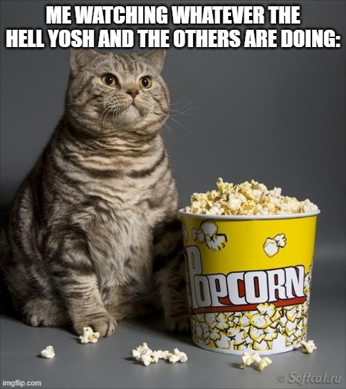 Cat eating popcorn | ME WATCHING WHATEVER THE HELL YOSH AND THE OTHERS ARE DOING: | image tagged in cat eating popcorn | made w/ Imgflip meme maker