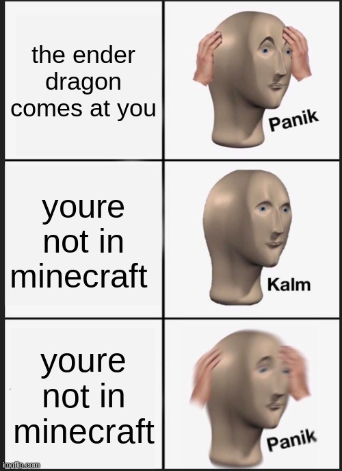 Panik Kalm Panik Meme | the ender dragon comes at you; youre not in minecraft; youre not in minecraft | image tagged in memes,panik kalm panik | made w/ Imgflip meme maker