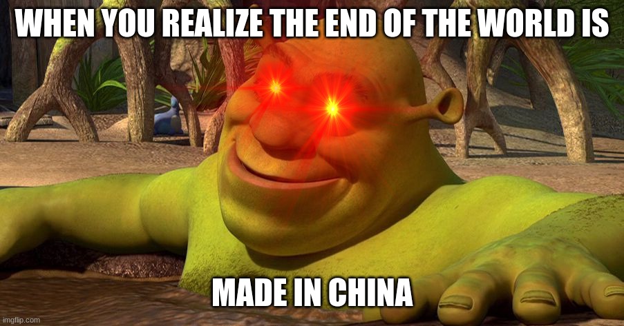 When you realize the end of the world is made in china |  WHEN YOU REALIZE THE END OF THE WORLD IS; MADE IN CHINA | image tagged in funny,shrek,china,made in china | made w/ Imgflip meme maker