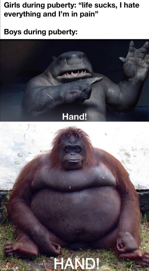 HAND! | image tagged in suicide squad,funny,monkey | made w/ Imgflip meme maker