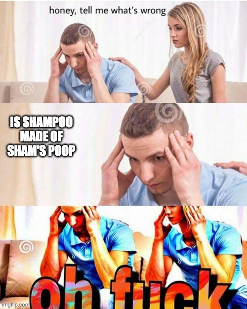 honey, tell me what's wrong | IS SHAMPOO MADE OF SHAM'S POOP | image tagged in honey tell me what's wrong | made w/ Imgflip meme maker
