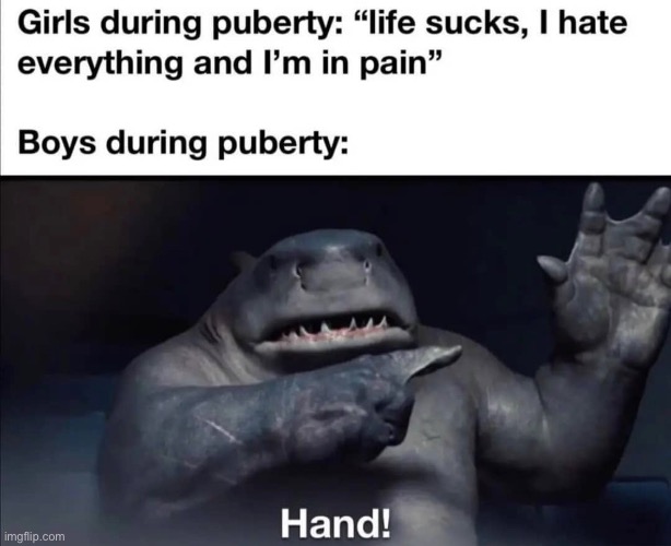 image tagged in funny,funny memes,memes | made w/ Imgflip meme maker