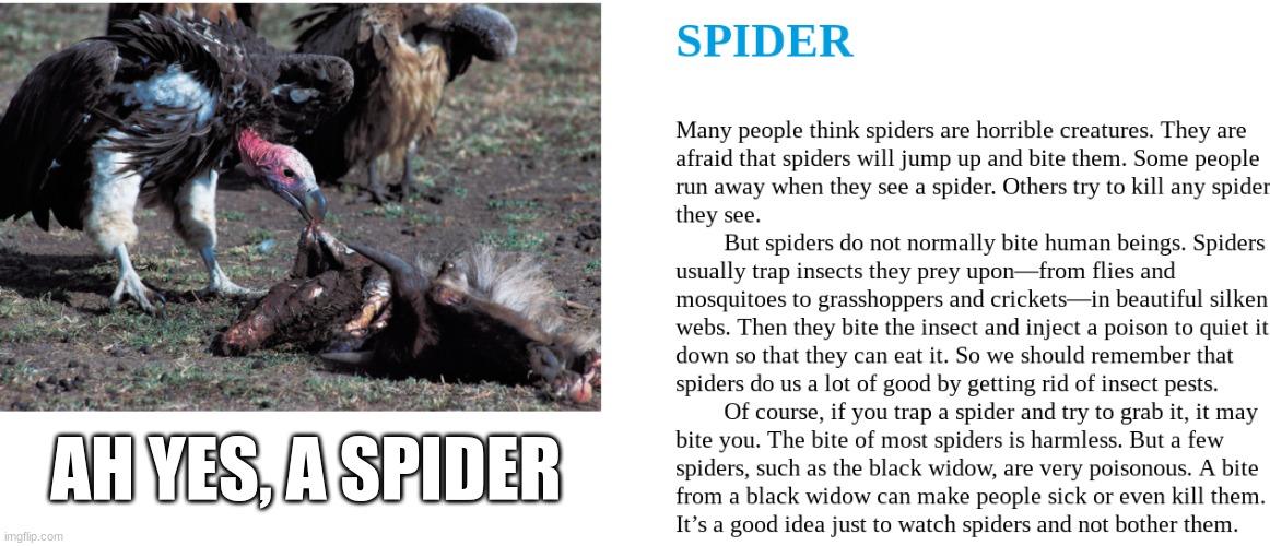 spider | AH YES, A SPIDER | image tagged in spider,vulture,meme | made w/ Imgflip meme maker