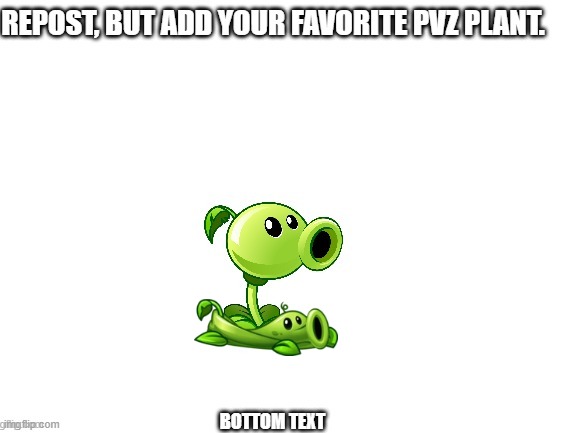 Pea Vine is cute :) | image tagged in pea vine,pvz,peashooter | made w/ Imgflip meme maker