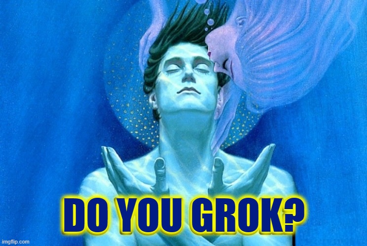 To Grok Read Stranger In A Strange Land Robert Heinlein Imgflip