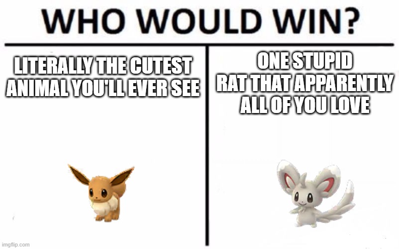 Seriously, why is Minccino overrated? |  ONE STUPID RAT THAT APPARENTLY ALL OF YOU LOVE; LITERALLY THE CUTEST ANIMAL YOU'LL EVER SEE | image tagged in minccino,eevee,memes,pokemon,who would win,why are you reading this | made w/ Imgflip meme maker