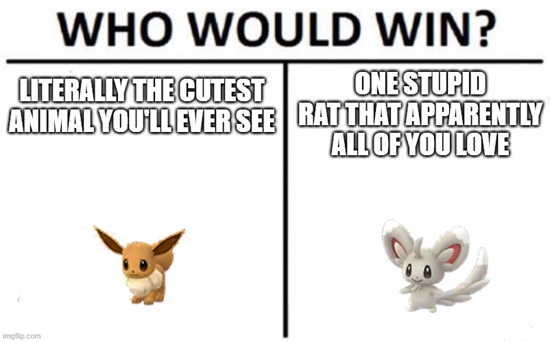 Seriously, why is Minccino overrated? | ONE STUPID RAT THAT APPARENTLY ALL OF YOU LOVE; LITERALLY THE CUTEST ANIMAL YOU'LL EVER SEE | image tagged in minccino,eevee,memes,pokemon,who would win,why are you reading this | made w/ Imgflip meme maker