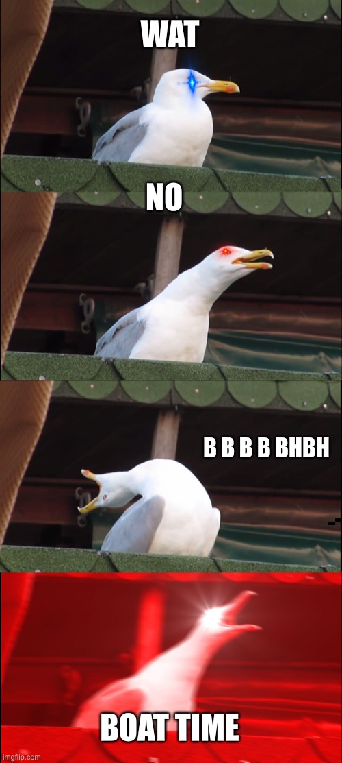 Inhaling Seagull Meme | WAT; NO; B B B B BHBH; BOAT TIME | image tagged in memes,inhaling seagull | made w/ Imgflip meme maker