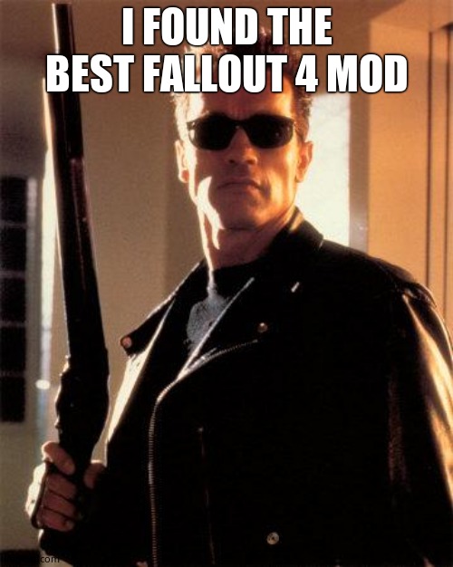 Terminator 2 | I FOUND THE BEST FALLOUT 4 MOD | image tagged in terminator 2 | made w/ Imgflip meme maker