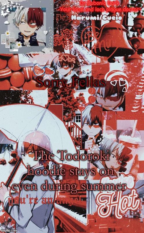 I N E V E R take it off | Sorry Fellas; The Todoroki hoodie stays on even during summer | image tagged in jesus frick another todoroki temp | made w/ Imgflip meme maker