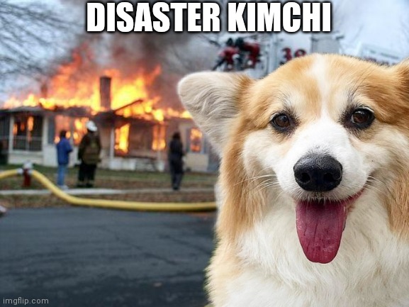 Disaster Kimchi | DISASTER KIMCHI | image tagged in disaster girl,corgi,mischievous corgi,disaster | made w/ Imgflip meme maker