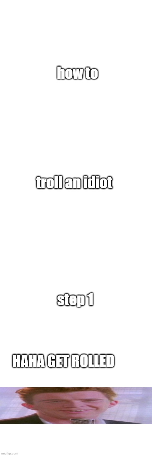 how to troll an idiot | how to; troll an idiot; step 1; HAHA GET ROLLED | image tagged in blank white template | made w/ Imgflip meme maker