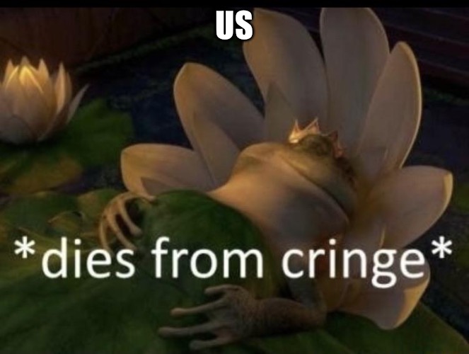 Dies from cringe | US | image tagged in dies from cringe | made w/ Imgflip meme maker