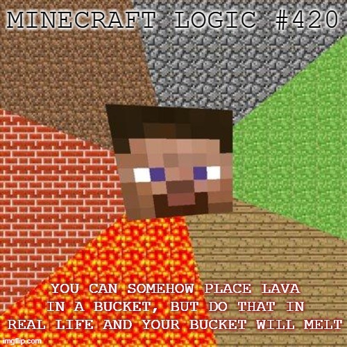 Steve is a GOD | MINECRAFT LOGIC #420; YOU CAN SOMEHOW PLACE LAVA IN A BUCKET, BUT DO THAT IN REAL LIFE AND YOUR BUCKET WILL MELT | image tagged in minecraft steve,memes | made w/ Imgflip meme maker