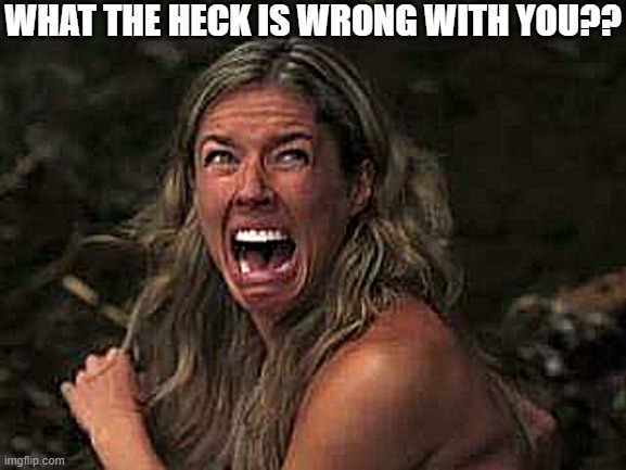 Screaming Woman | WHAT THE HECK IS WRONG WITH YOU?? | image tagged in screaming woman | made w/ Imgflip meme maker