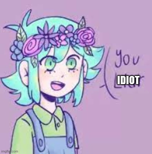 You Liar | IDIOT | image tagged in you liar | made w/ Imgflip meme maker