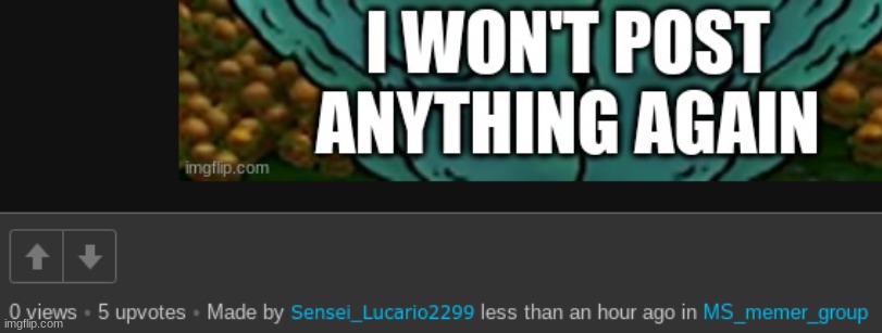 made w/ Imgflip meme maker