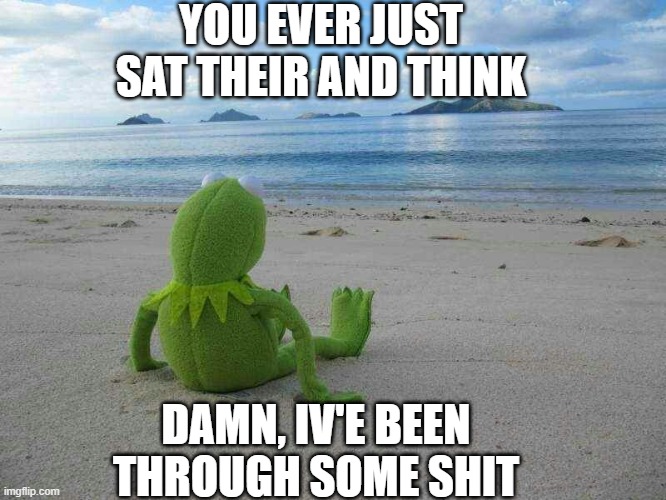go ahead | YOU EVER JUST SAT THEIR AND THINK; DAMN, IV'E BEEN THROUGH SOME SHIT | image tagged in kermit | made w/ Imgflip meme maker