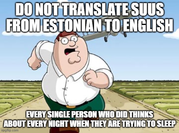 Peter Griffin running away from a plane | DO NOT TRANSLATE SUUS FROM ESTONIAN TO ENGLISH; EVERY SINGLE PERSON WHO DID THINKS ABOUT EVERY NIGHT WHEN THEY ARE TRYING TO SLEEP | image tagged in peter griffin running away from a plane | made w/ Imgflip meme maker