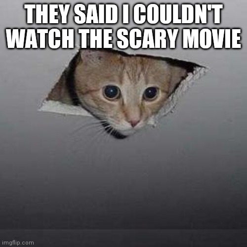 Ceiling Cat | THEY SAID I COULDN'T WATCH THE SCARY MOVIE | image tagged in memes,ceiling cat | made w/ Imgflip meme maker