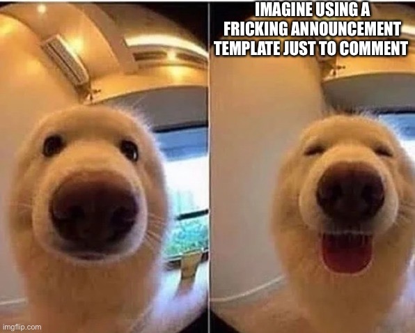 wholesome doggo | IMAGINE USING A FRICKING ANNOUNCEMENT TEMPLATE JUST TO COMMENT | image tagged in wholesome doggo | made w/ Imgflip meme maker