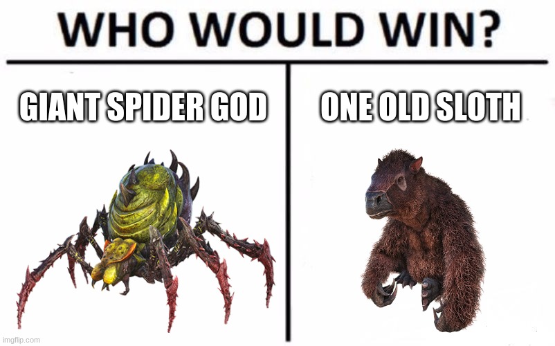 Who Would Win? | GIANT SPIDER GOD; ONE OLD SLOTH | image tagged in memes,who would win | made w/ Imgflip meme maker