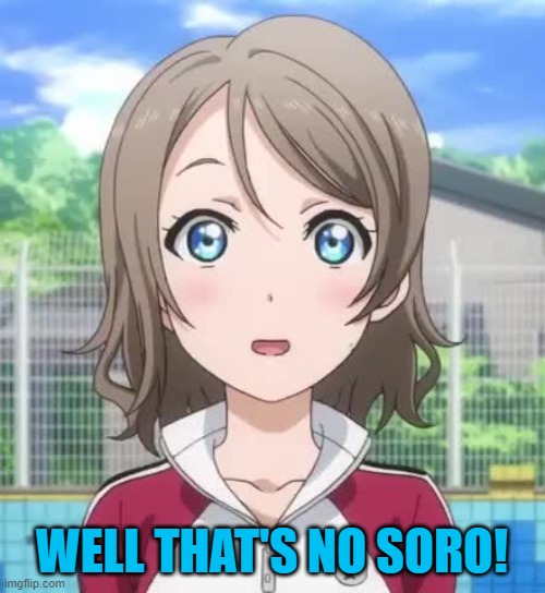 WELL THAT'S NO SORO! | made w/ Imgflip meme maker